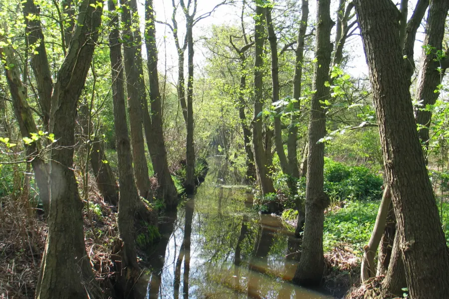 Natuur Gadrabos