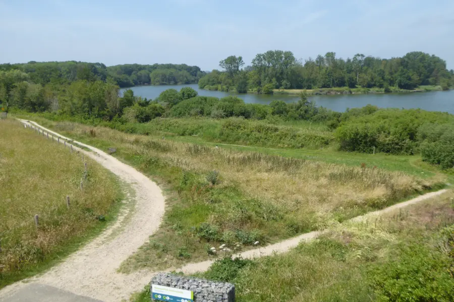 Natuur Schelphoek