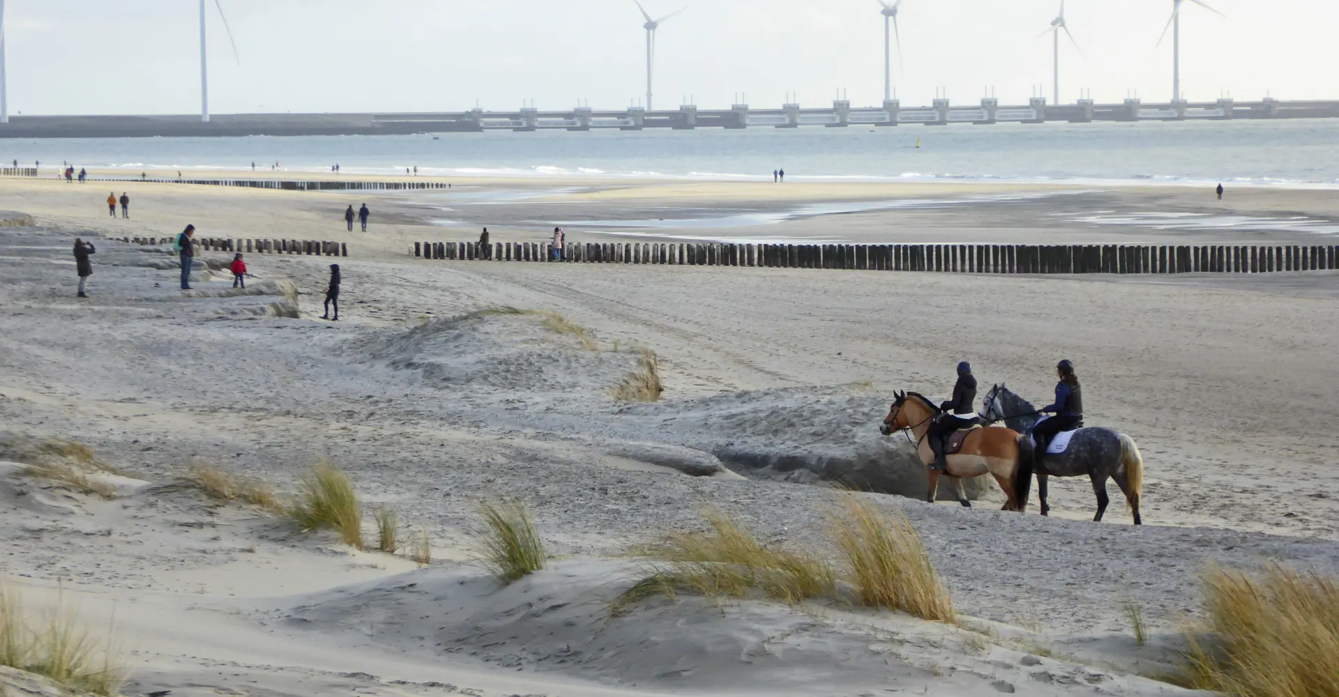 Renesse 2